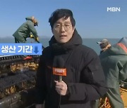 [기후위기①]K-푸드 날개 단 김, 수온 상승에 생산량 '뚝'