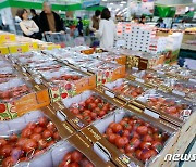 방울토마토 소매가 30% 상승, 정부 '지원 검토'