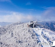 "3월말에 스키를?"…20㎝ 안팎 폭설 내린 용평리조트 3월 마지막 재개장