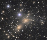 [오늘의 천체사진] 수천 개 은하 품은 코마 은하단