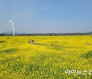 ‘가슴 설레는 시간, 봄이 오는 소리’ 2024 서귀포유채꽃축제