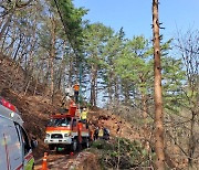 삼척 벌목 현장서 50대 작업자 쓰러지는 나무에 맞아 사망