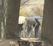 "우산 챙기세요" 전국 또 비소식..광주·전남 최대 40mm