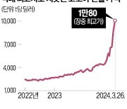 코코아값 t당 1만弗 돌파…고심 커진 제과사