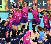 Pink Spiders beat Red Sparks to reach V League championship
