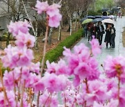[내일날씨] 전국 흐리고 비… 서울 기온 9∼14도