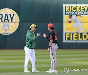 박효준, MLB 시범경기 타율 0.477에도 개막 로스터 탈락(종합)
