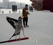 APTOPIX China Bird Man