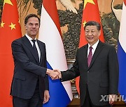 CHINA-BEIJING-XI JINPING-DUTCH PM-MEETING (CN)