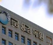 “상장사 2곳 상폐 검토”…금감원, 회계감리 강화