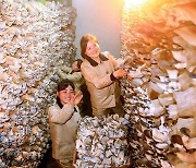 버섯을 생산하고 있는 북한 장자강 버섯공장 일꾼들