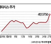 8개월 만에 신고가 다시 쓴 이수페타시스, 외국인·기관 '사자'