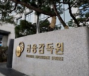 금감원·한국회계기준원, 아시아 국가에 IFRS17 경험 공유