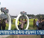 [여기는 강릉] 삼척맹방유채꽃축제 내일부터 17일간 개최 외