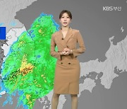 [날씨] 부산 호우·강풍주의보…저녁까지 최대 80mm 강한 비