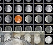 '9000만弗의 작가'가 만든 달, 로켓에 태워 달에 전시하다