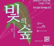 화성시, 미디어아트 전시회 '빛의 숲' 내달 5일 개막