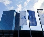 ECB 빌르루아 "4~6월 첫 금리 인하 필요…너무 늦추면 위험"