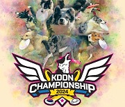 국제 디스크도그 대회 'KDDN 챔피언십 2024' 강아지숲서 열린다