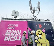 LGU+, 전국 봄꽃 축제 기간 네트워크 최적화 작업 완료