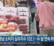 경남 소비자 심리지수 103.1…두 달 연속 하락