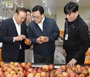 정부 "농축수산물 유통구조 개선…부처합동 현장 실태점검"
