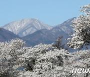 '미세먼지보다 심한데…' 여야 강원 후보 '털기'에 선거전 혼탁 [총선핫플]