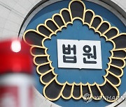 전 여자친구 반려묘 세탁기 넣어 죽인 20대男 '집행유예'