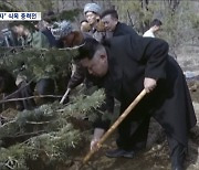 [통일전망대] 북한의 나무 집착‥속사정은?