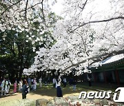 [내일 날씨] 전국 대체로 맑지만 일교차 커…"황사도 조심하세요"