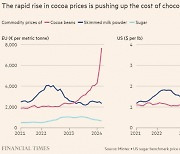코코아 가격 급등···제과업계, 대체재 찾기 안간힘