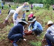 농작물 재배·나눔 통해 '중독 치료'···강원랜드, 생명사랑 녹색 농장 운영