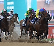 UAE HORSE RACING