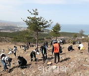 [포토]유한킴벌리, '우리강산 푸르게 푸르게'