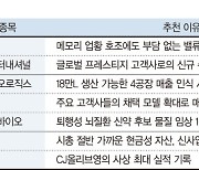 씨앤씨인터, 북미 화장품업체 공급 확대[株슐랭 가이드]