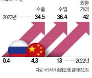 러, 서방 제재로 中과 밀착…달러보다 위안화 더 늘린다