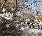 4월 첫날 최고 23도...황사 없고 일교차 커