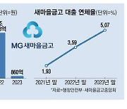 연체율 급등 새마을금고, 첫 현장 검사 받는다