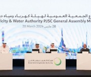 Dubai Electricity and Water Authority PJSC Shareholders Approve Payment of AED 3.1 Billion in Dividends
