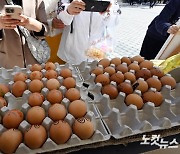 부활절 계란 놓인 명동성당