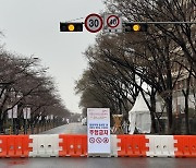 “벚꽃 피지도 않았는데 축제? 말이 되나”…상인들 ‘죽을 맛’, 시민들은 ‘심드렁’ [밀착취재]