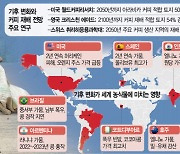 커피 재배지 2050년 반토막···日 '1등 쌀'은 생산급감·위상 흔들