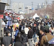 청주시 "벚꽃과 함께하는 푸드트럭 축제에 34만명 찾아"