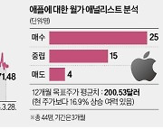 "이대로 물러설 애플 아니다"…주가 반등론 솔솔