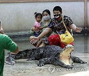 THAILAND ANIMALS