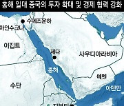 [글로벌 현장을 가다/김기윤]‘중국 공단’ 된 이집트 항구… 홍해 위기에도 中선박은 무사통과