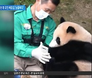 “잘가, 푸바오”…6천여 명 팬들과 인사