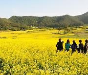 봄날은 짧다!...지금 바로 꽃내음 가득한 남도로 봄여행!