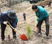 금산군, 제78회 식목일 기념 편백나무 6000본 식재