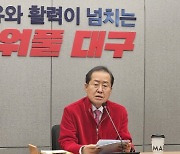 홍준표 "내가 한동훈에 딴지? 근본없는 얼치기 좌파들이 당 망쳐"